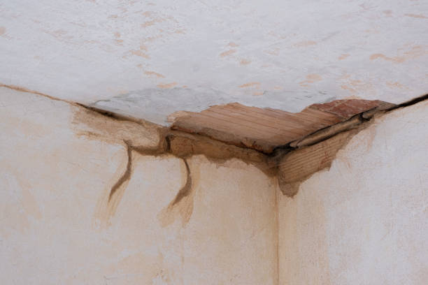 Best Carpet water damage restoration  in Washburn, ND