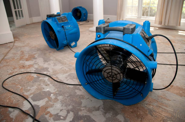 Best 24/7 water damage repair  in Washburn, ND
