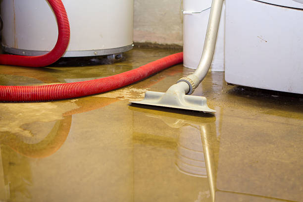 Best Water damage mitigation services  in Washburn, ND