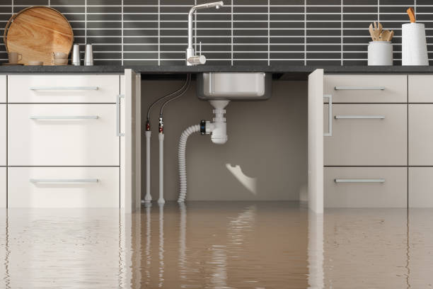 Best Water damage contractors near me  in Washburn, ND