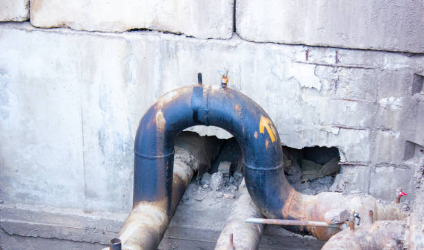 Best Local water damage restoration  in Washburn, ND