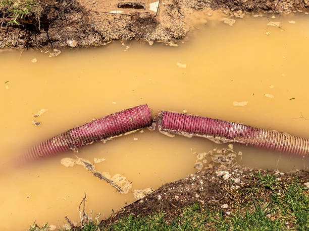 Water damage restoration mold remediation in Washburn, ND