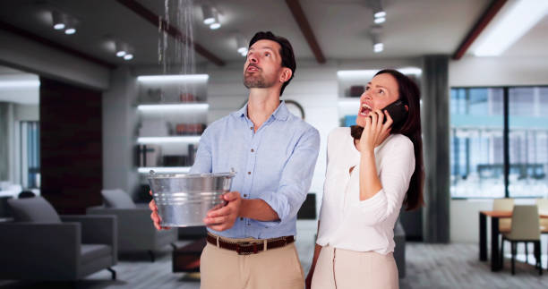 Best Flooded house restoration  in Washburn, ND