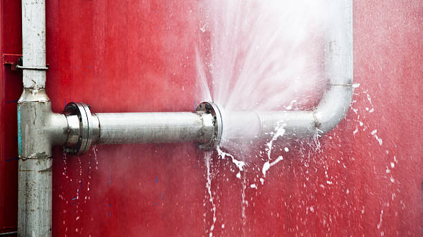 Best Professional water damage repair  in Washburn, ND