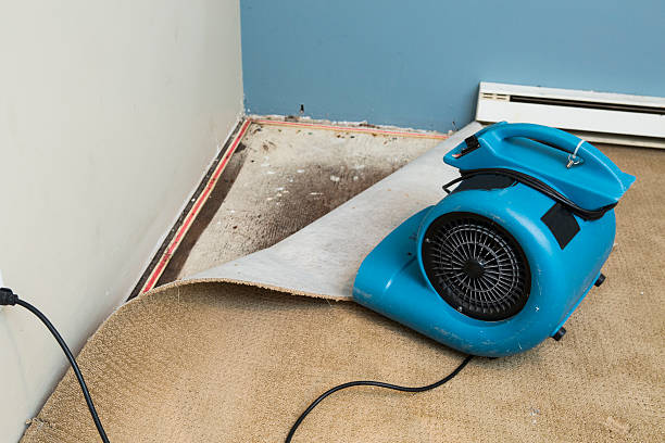 Best Flooded house restoration  in Washburn, ND